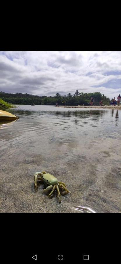 Hostal Estrellas Del Tayrona Playa Mendihuaca Guachaca المظهر الخارجي الصورة