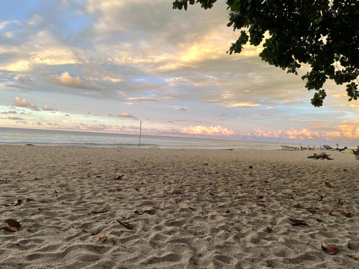 Hostal Estrellas Del Tayrona Playa Mendihuaca Guachaca المظهر الخارجي الصورة