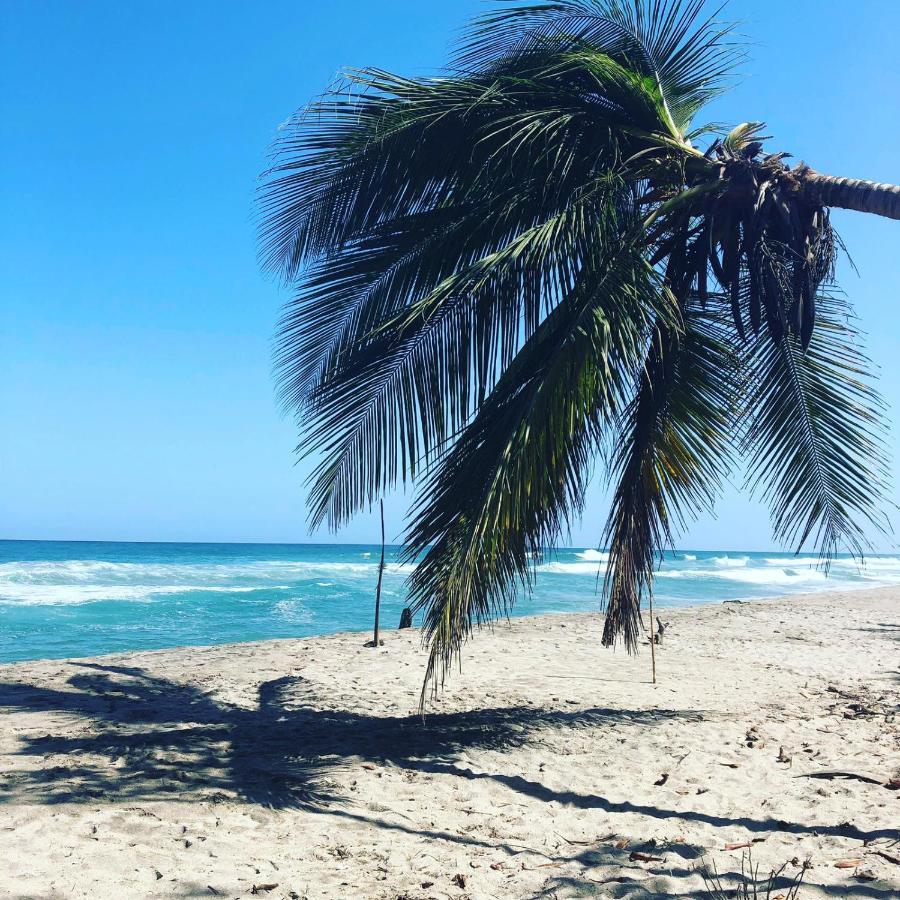 Hostal Estrellas Del Tayrona Playa Mendihuaca Guachaca المظهر الخارجي الصورة
